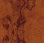 Оливковое дерево