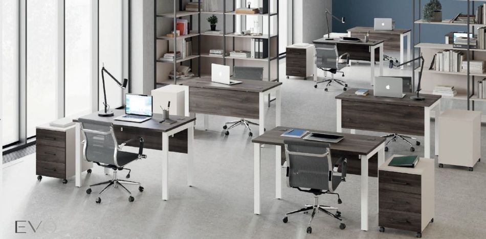 Комплект офисной мебели Everprof EVO №001 Дуб Пасадена Белый