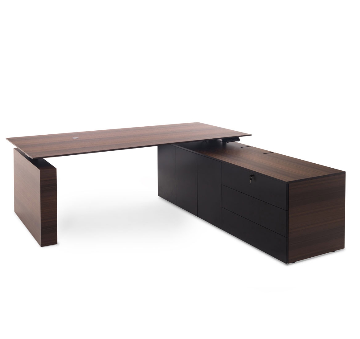 TESLA Стол письм. с тумбой DX ЭВКАЛИПТ МОРЕН/ЧЕРН 110 102 ECL BL