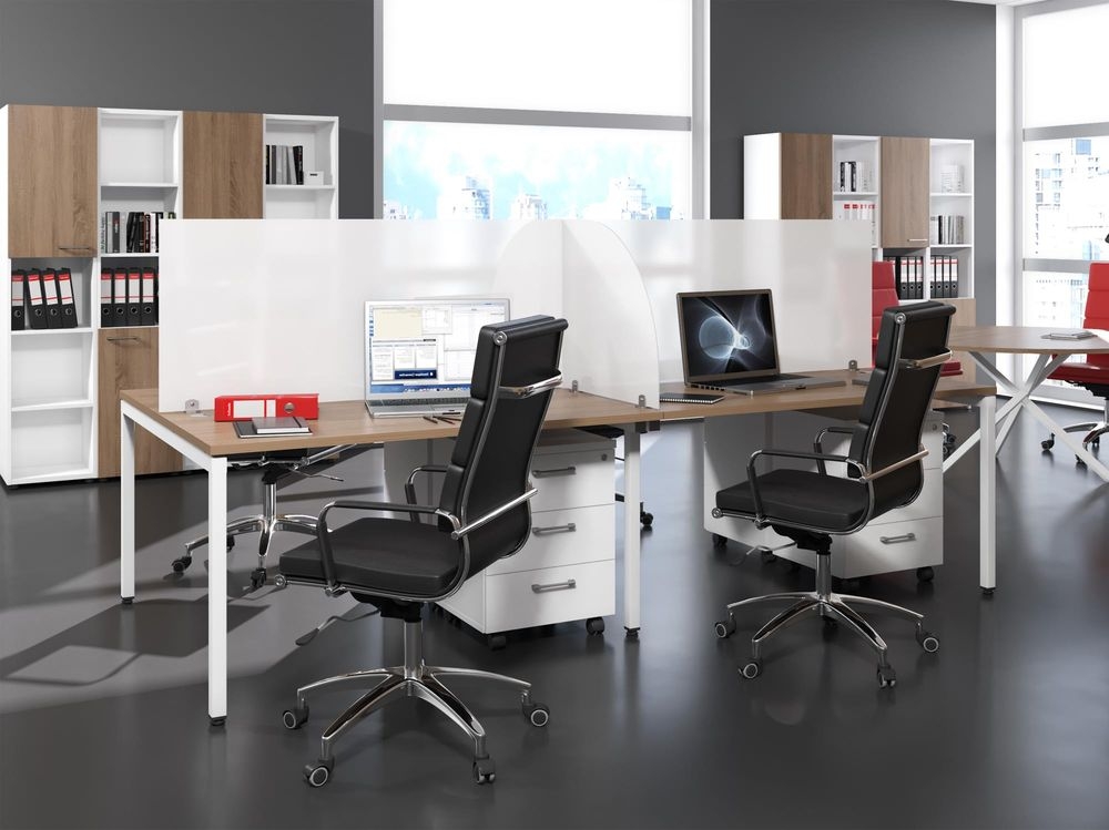 Экран из оргстекла RAND LITE RPG 1660