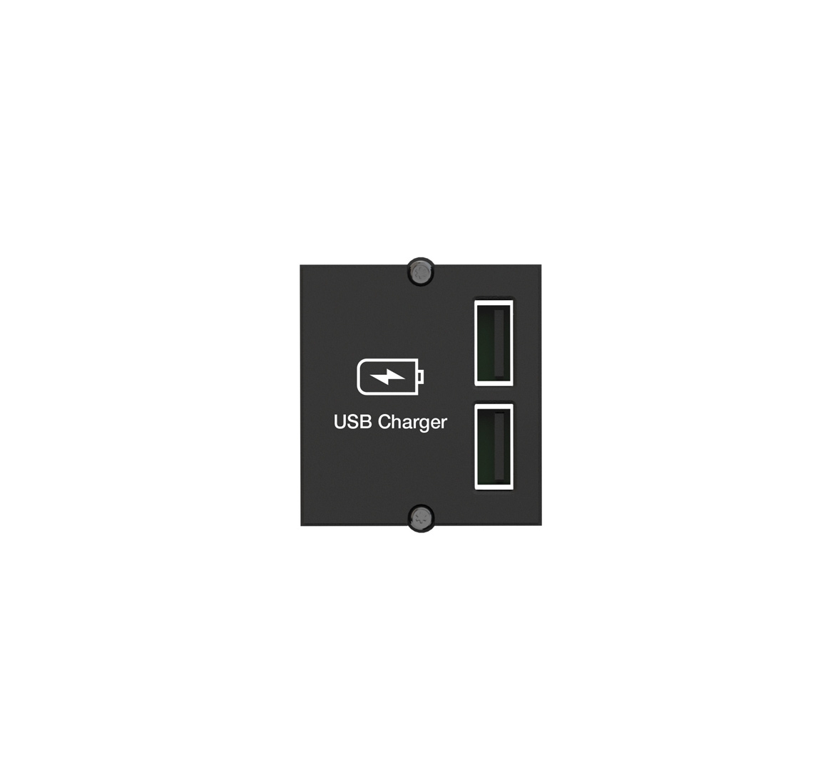 Зарядка USB CH BACHMANN 917.224 Черный