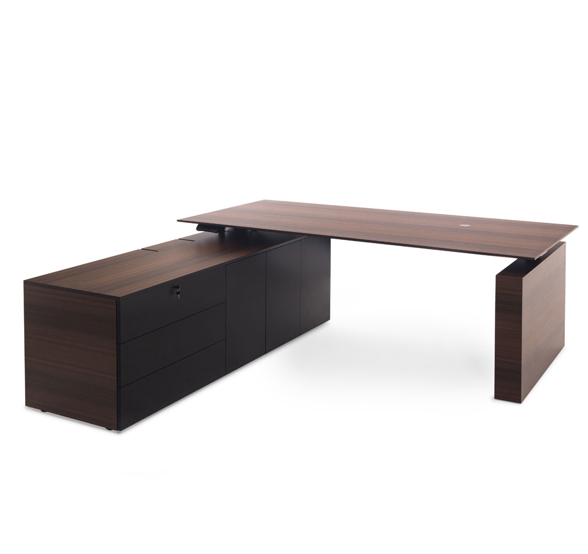 TESLA Стол письм. с тумбой SX ЭВКАЛИПТ МОРЕН/ЧЕРН 110 103 ECL BL