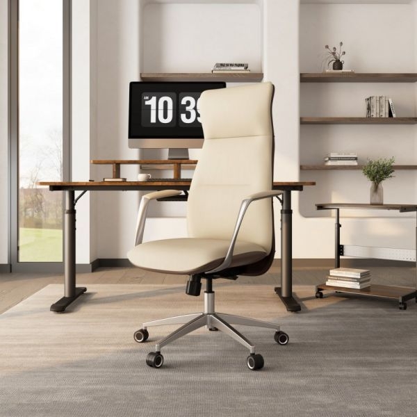 Эргономичное кресло руководителя Eureka OC08-OW, белое