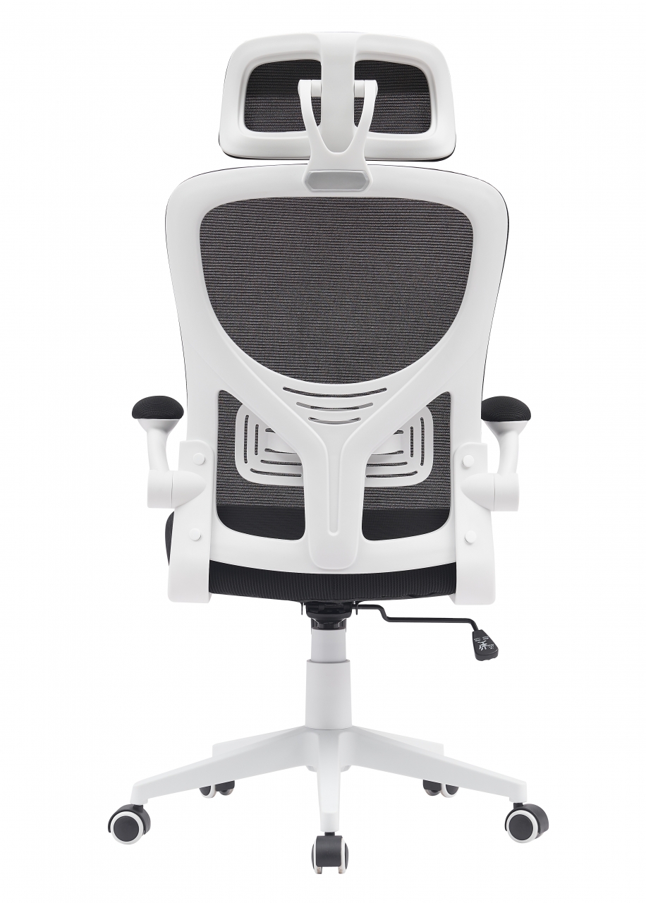 Компьютерное кресло TopChairs Airone белый с черной сеткой