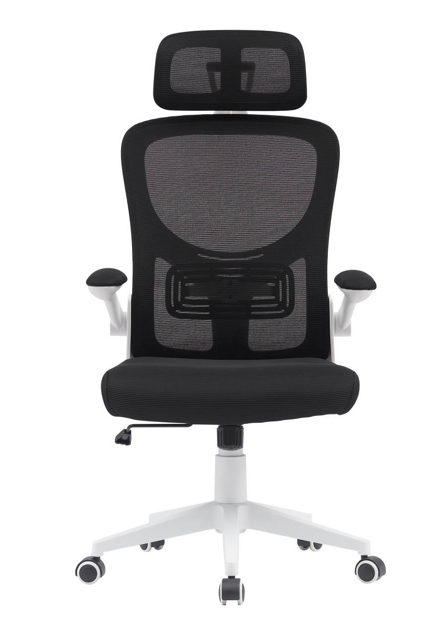 Компьютерное кресло TopChairs Airone белый с черной сеткой