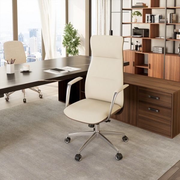 Эргономичное кресло руководителя Eureka OC08-OW, белое