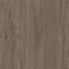 Дуб Верцаска