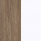 Дуб Аризона/Белый