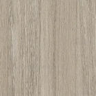 Дуб светлый (OL)