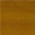 Дуб золотой