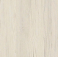 Сосна Скандинавия