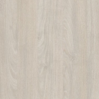 Акация Морава