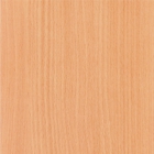 Бук светлый