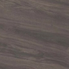 Дуб Пасадена