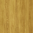 Дуб Сантана золотистый