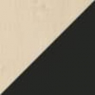 Клен-Антрацит