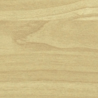 Солнечный клен