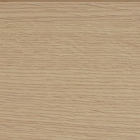 Дуб Светлый