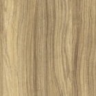 Гикори Песочный