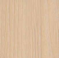 Клен Танзау