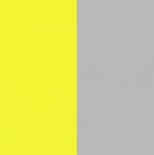 Желтый RAL 1021 /Серый RAL 7035