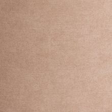 Beige (Бежевый) LY1701-4