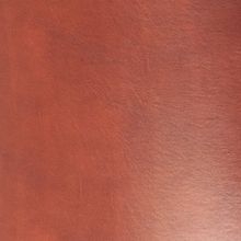 Светло-коричневый Leather Eichel