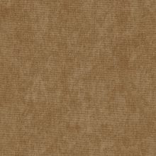 Ткань велюр T-10 темно-бежевый