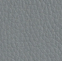 Серая кожа