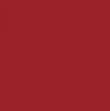 Карминно-красный RAL 3002