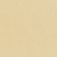 Бежевый OREGON 12