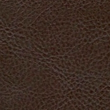 Коричневая кожа