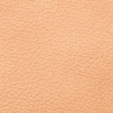 Consul Sablia (кожа)