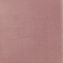 Лавандовый barkhat 17