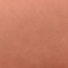 Коричневая экокожа 269