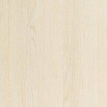 Дуб паллада