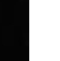 Black/White
