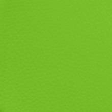 Neon Green