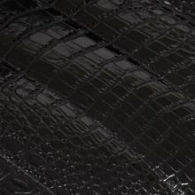 Черный крокодил