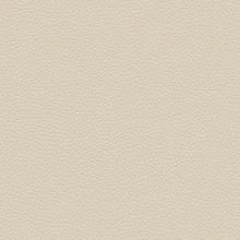 Экокожа бежевая (794-702)