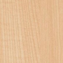 Клен Танзау