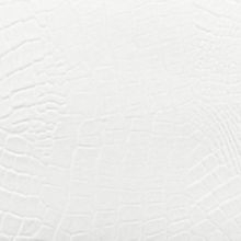 Белый крокодил