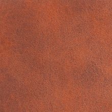 Коричневый RH02-13