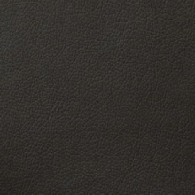 Domus taupe