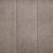 Серебряный дождь