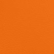 Tiger Orange