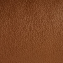 Коричневая кожа