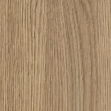 Дуб Честерфилд