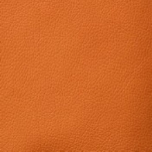 Domus nectarine