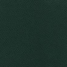 Кожа цвет зеленый